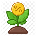 Money Tree Percent  Icon