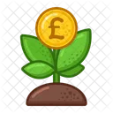 Money Tree Pound  Icon