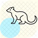 マングース アイコン