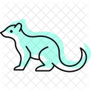 Mongoose Mammal Snake Icon
