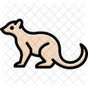 Mongoose Mammal Snake Icon