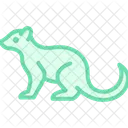 Mongoose Mammal Snake Icon