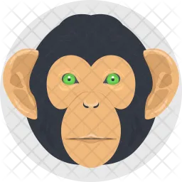 Monkey  Icon