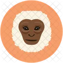 Monkey Animal Face Icon