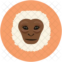 Monkey  Icon