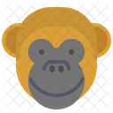 Monkey Smile Icon