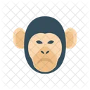 Monkey Circus Animal Icon