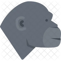 Monkey  Icon