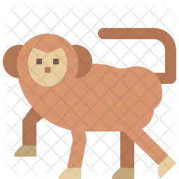 Monkey  Icon