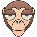 Monkey Macaques Primate Icon