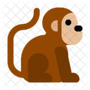 Monkey  Icon