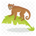 Monkey Ape Rhesus Icon
