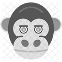 Monkey Face Monkey Gorilla Icon