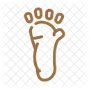 Monkey Footprint  Icon
