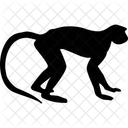 Monkey Animals Icon