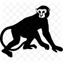 Monkey Animals Icon