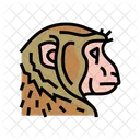 Monkey Animal Wild Icon