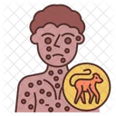 Monkey Pox Rash  Icon