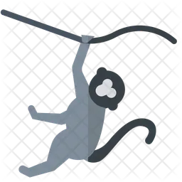 Monkey Primate  Icon