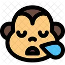 Monkey Snoring Icon