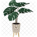 Monstera Plant Pot House Plant Icon