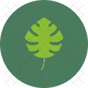 Monstera Leaf Plant Icon