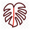 Monstera Plant Nature Icon
