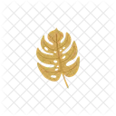 Monstera Leaf Vector Icon