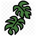 Monstera Leaf Monstera Plant Icon
