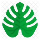 Monstera Leaf Hawaii Icon