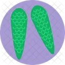 Exotic Fruits Monstera Fruit アイコン