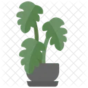 Monstera Leaf Nature Icon