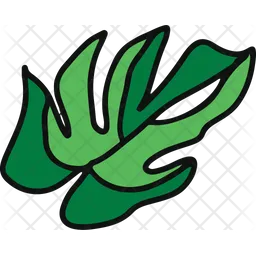 Monstera  Icon