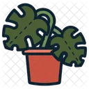 Monstera Plant Pot Icon
