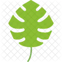 Monstera Leaf Plant Icon