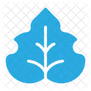 Monstera Botanical Leaf Icon