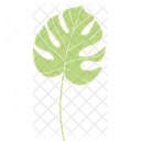 Summer Plant Monstera Icon