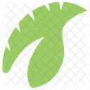 Tropisch Monstera Pflanze Symbol