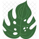 Monsterablatt Monstera Tropisch Symbol