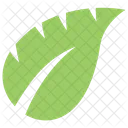 Tropisch Monstera Pflanze Symbol