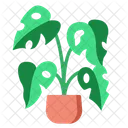 Monstera Deliciosa Leaf Green Icon