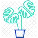Monstera Deliciosa Plant  Icon