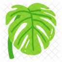 Leaf Ash Leaf Beech Leaf Icon