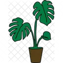 Monstera Plant Outdoor Plant Symbol