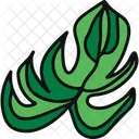 Monstera Plant Outdoor Plant Symbol