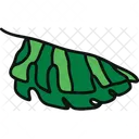 Monstera Plant Outdoor Plant Symbol
