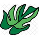 Monstera Plant Outdoor Plant Symbol