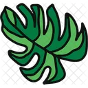 Monstera Plant Outdoor Plant Symbol
