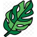 Monstera Plant Outdoor Plant Symbol