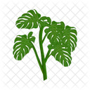 Monstera leaf  Icon